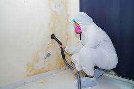 Reliable Mount Hope, WV Mold Removal Services Solutions